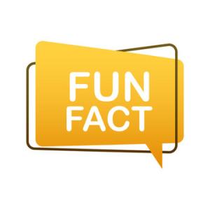 Fun Facts Resource for JS 2 ICT Test Prep
